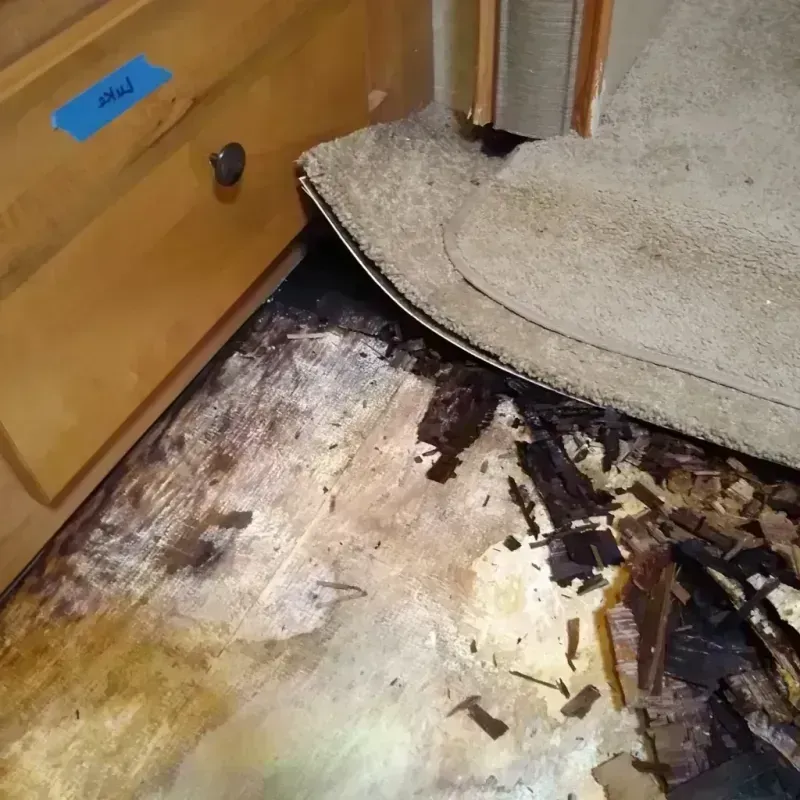 Wood Floor Water Damage in Lanham, MD